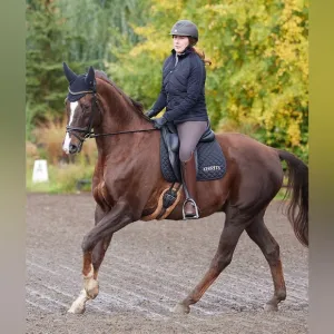 Ariat Equestrian Black Quilted Puffer Full Zip Riding Jacket, Women’s Large