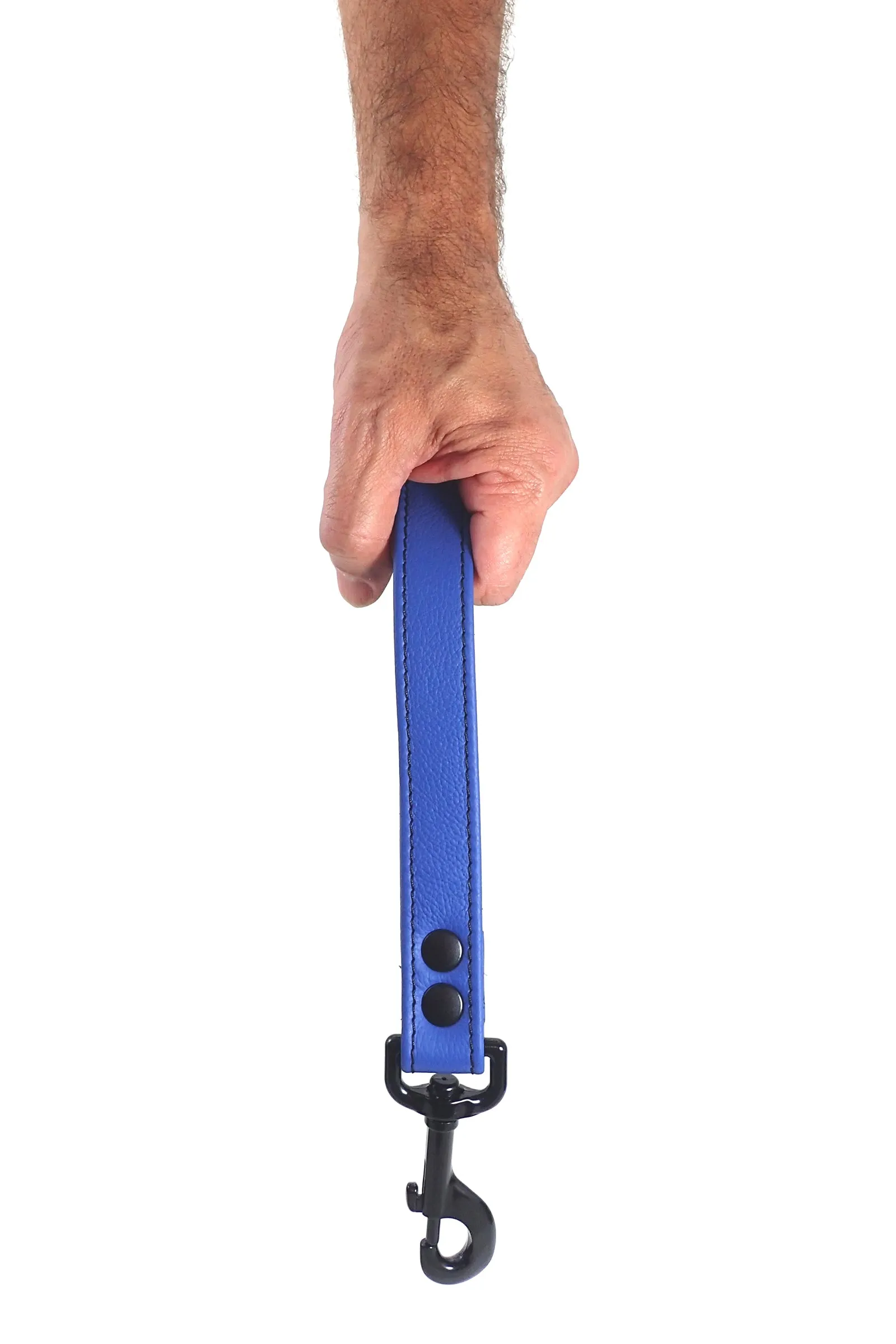HANDLE LEASH - Colour