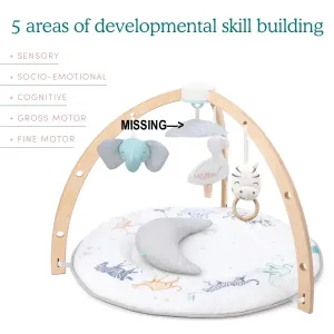 Retails $143  aden   anais Play Discover Activity Gym, MISSING 1 HANGING MIRROR & 1 HOOK, No Box
