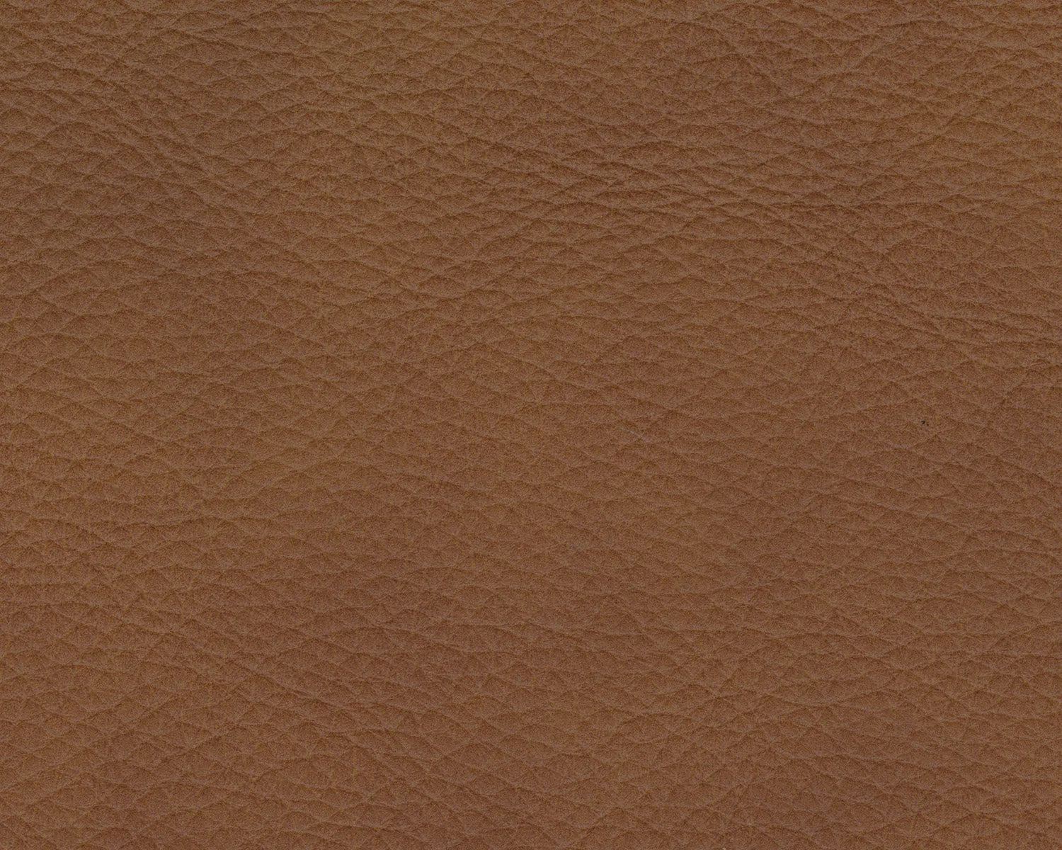 Rylee 2 PC Leather Sofa