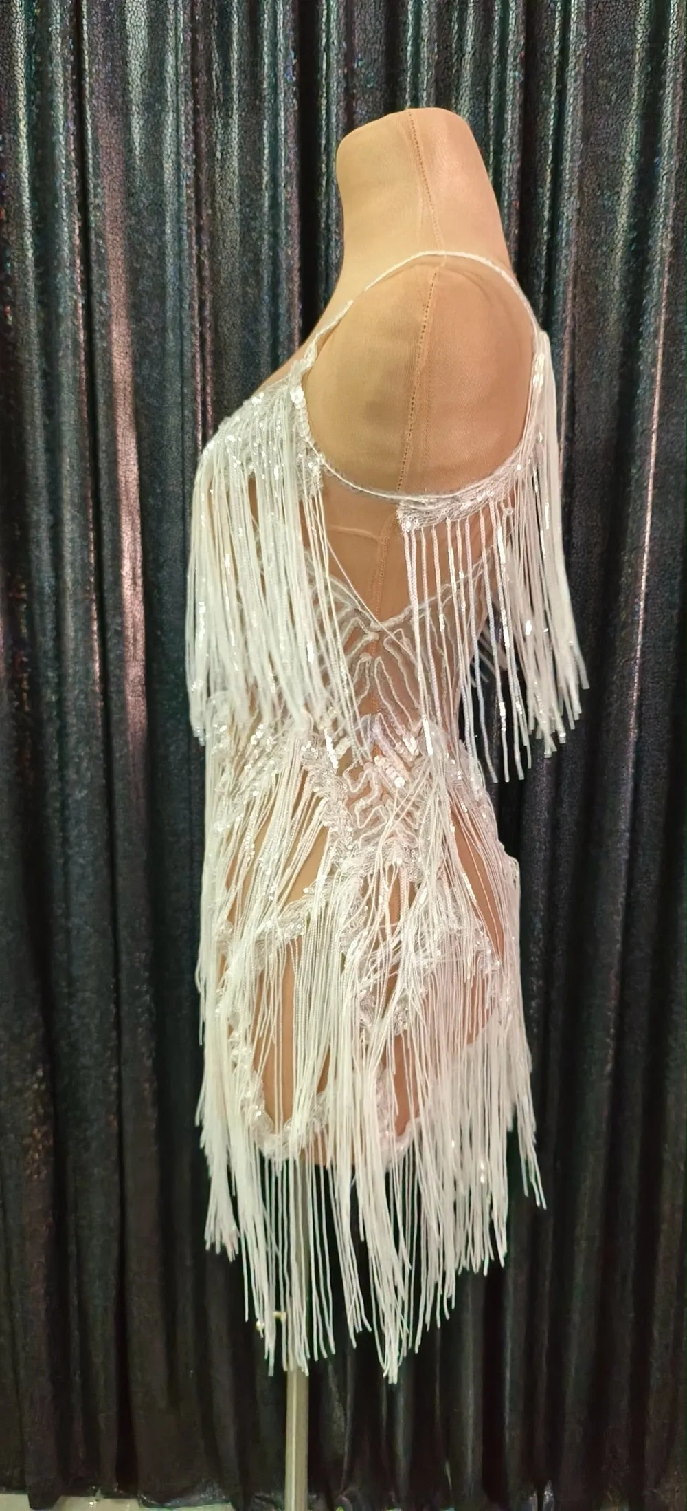 Shining Silver Sequins Fringes Dress