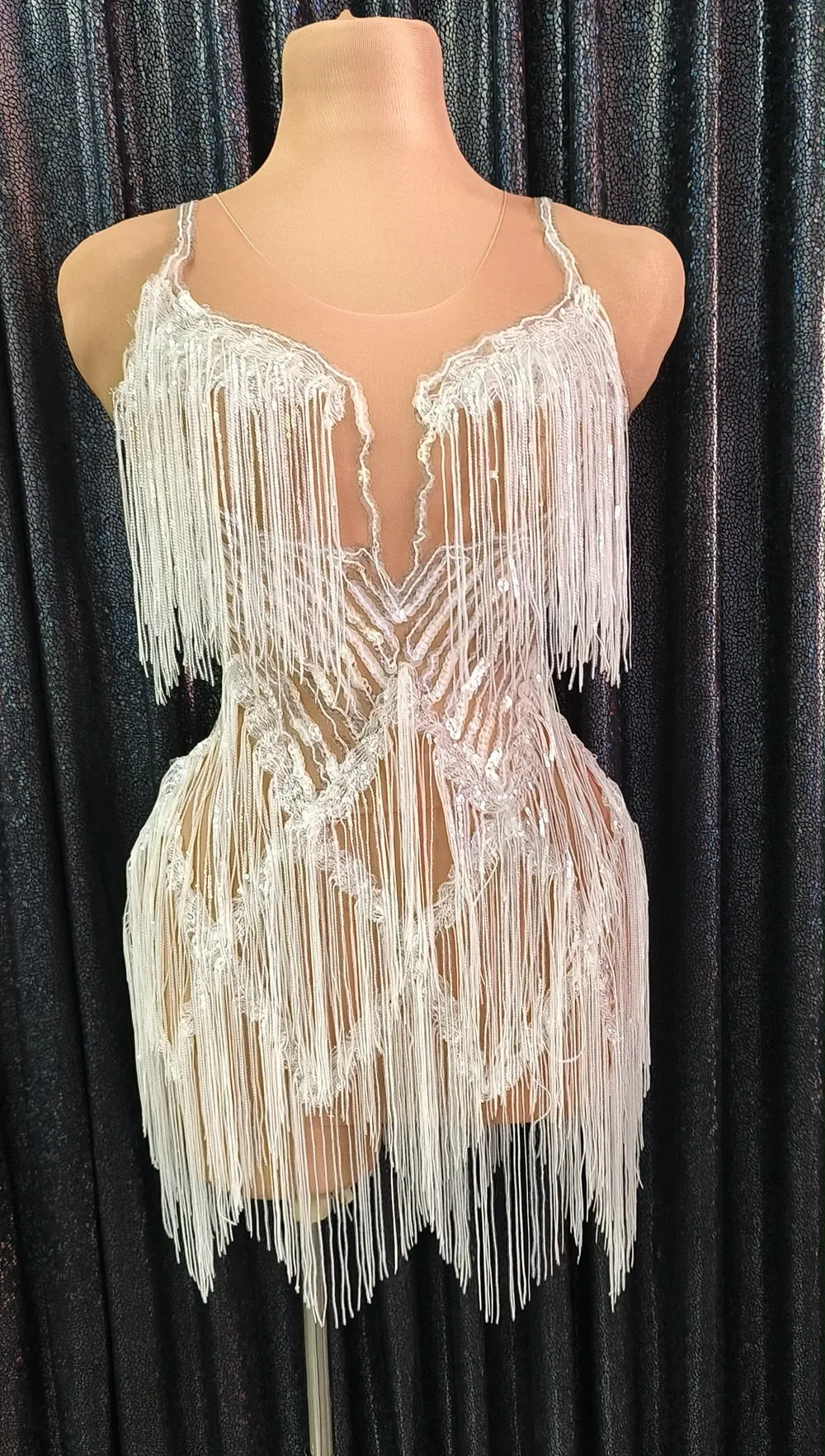 Shining Silver Sequins Fringes Dress