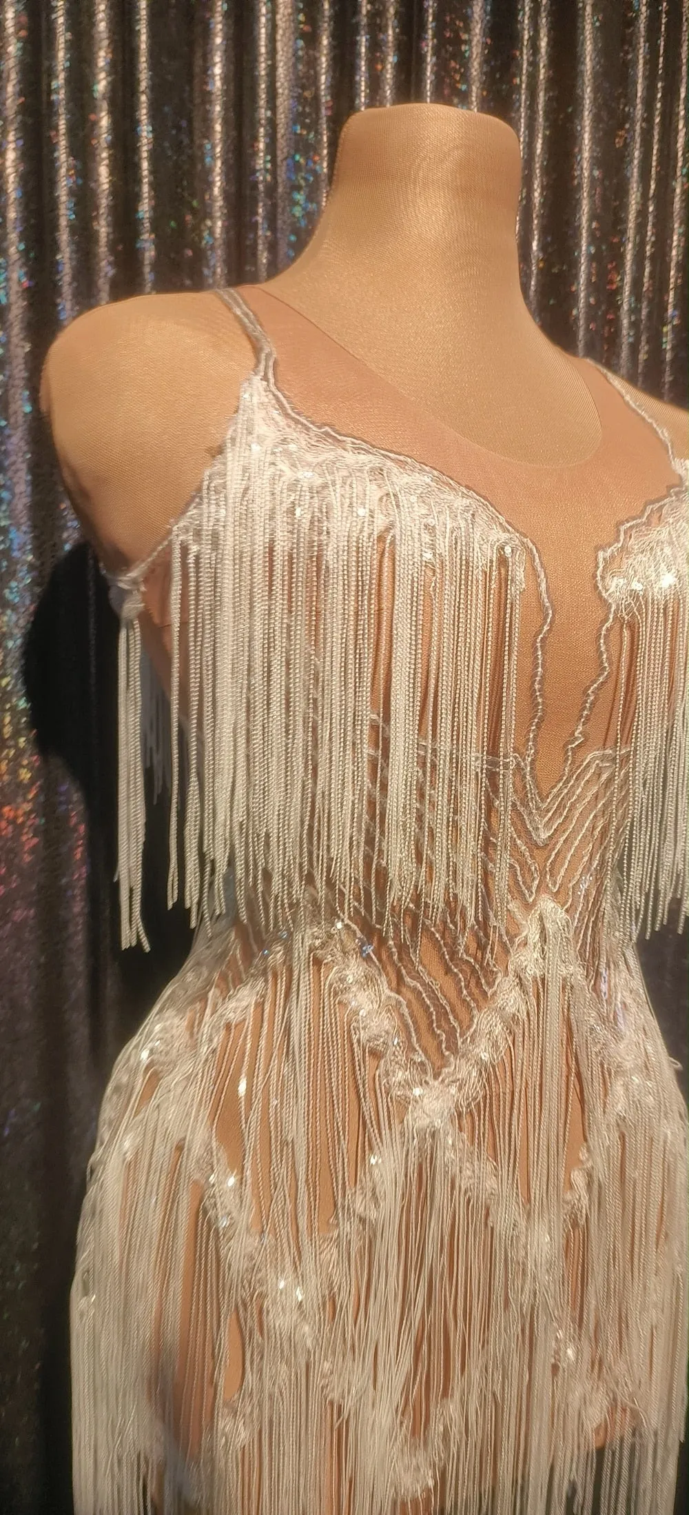 Shining Silver Sequins Fringes Dress